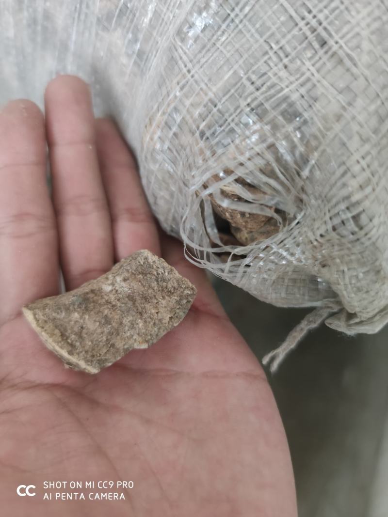 山乌龟，白药子，干货