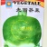 光面芥菜种子大头菜圆头光头腌制酸菜榨菜种籽芥菜籽四季播菜