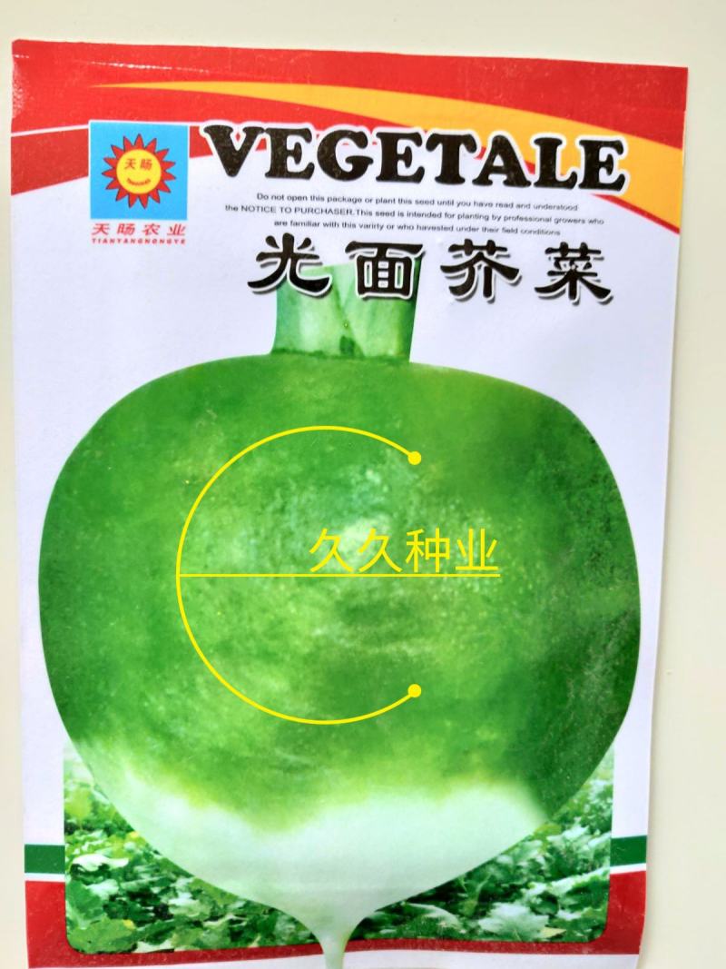 光面芥菜种子大头菜圆头光头腌制酸菜榨菜种籽芥菜籽四季播菜