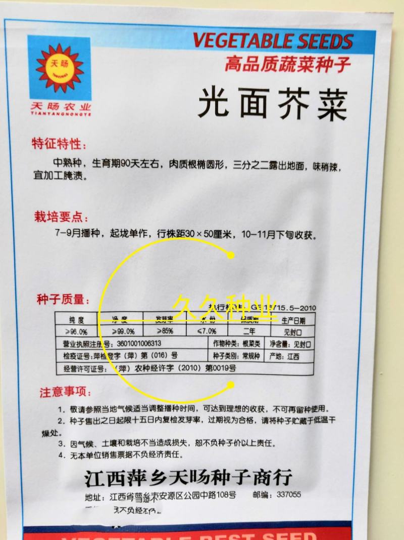 光面芥菜种子大头菜圆头光头腌制酸菜榨菜种籽芥菜籽四季播菜