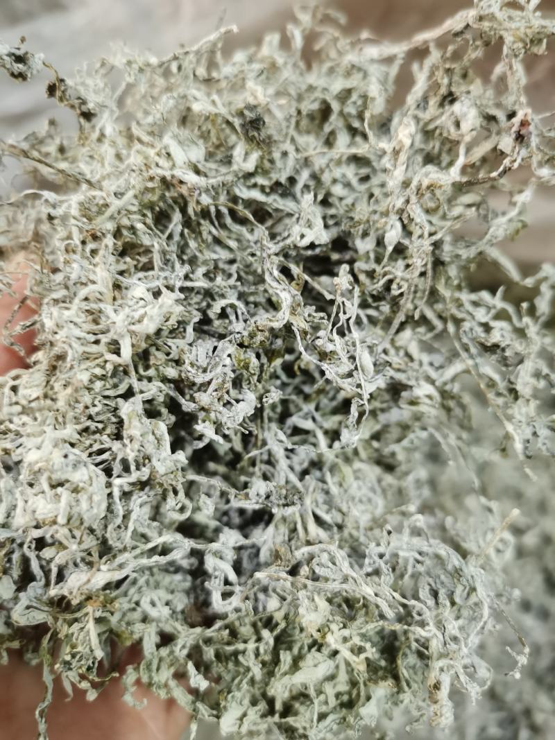 来凤藤茶天然富硒野生龙须藤茶