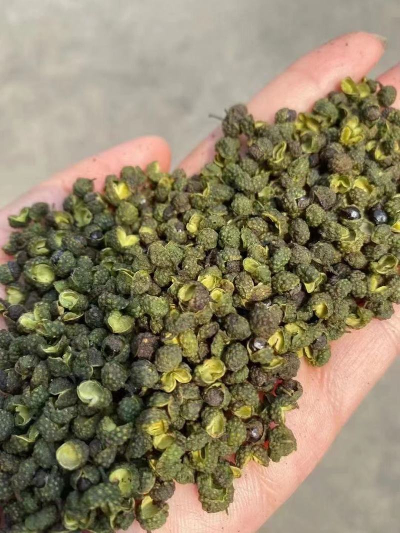 青花椒汉源青花椒麻味足跑江湖摆地摊货源