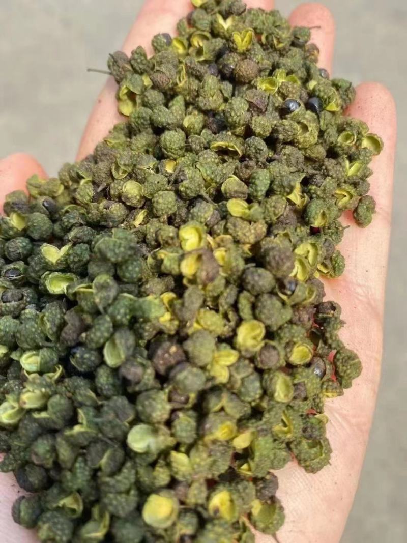 青花椒汉源青花椒麻味足跑江湖摆地摊货源