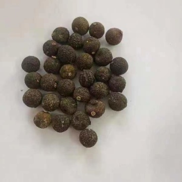 各种枳实