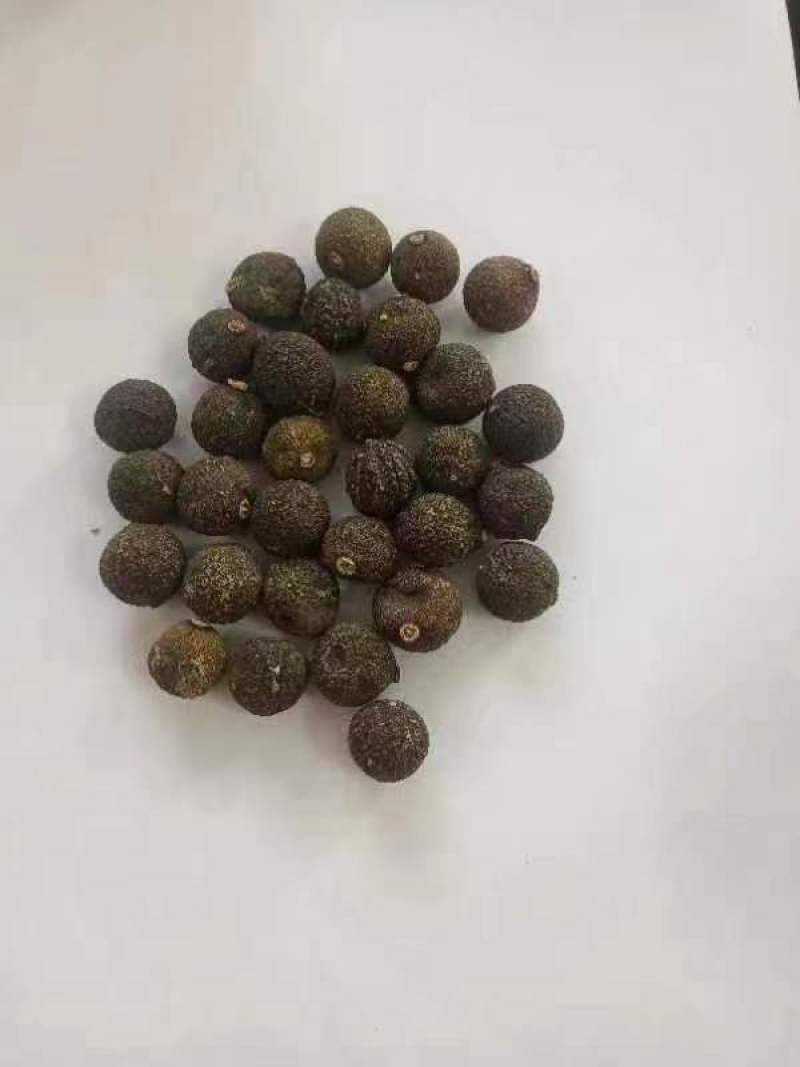 各种枳实