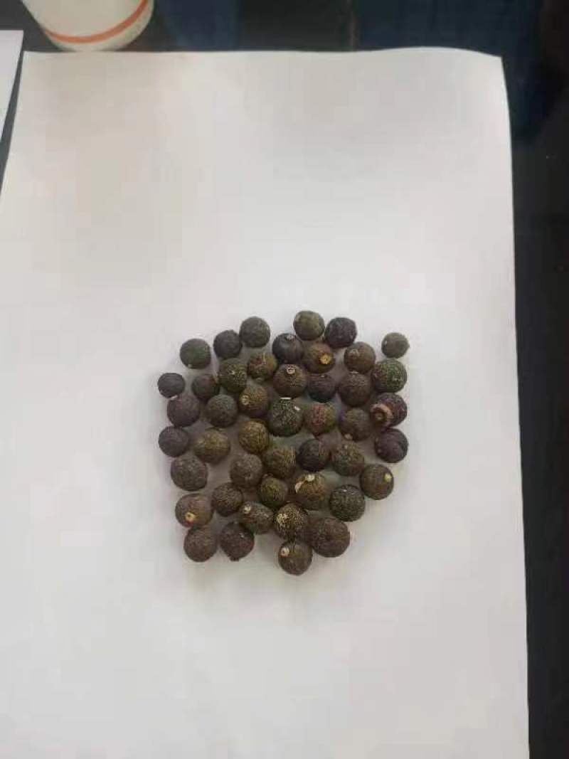 各种枳实