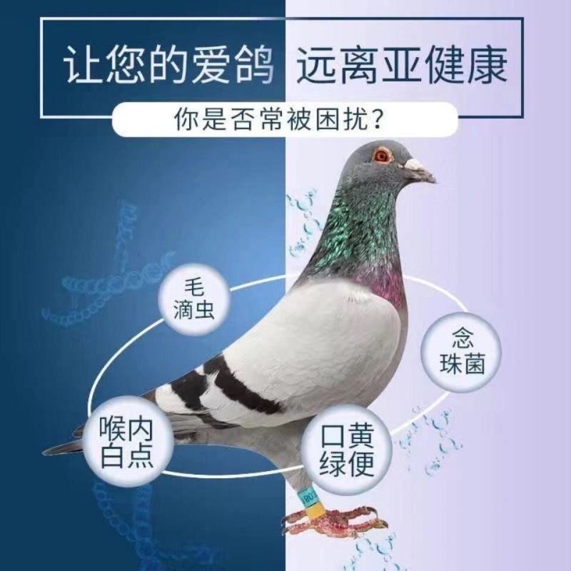 花椒籽鸽用鸽粮保健食品驱虫亮羽增膘健体信鸽赛鸽鸟类花椒籽