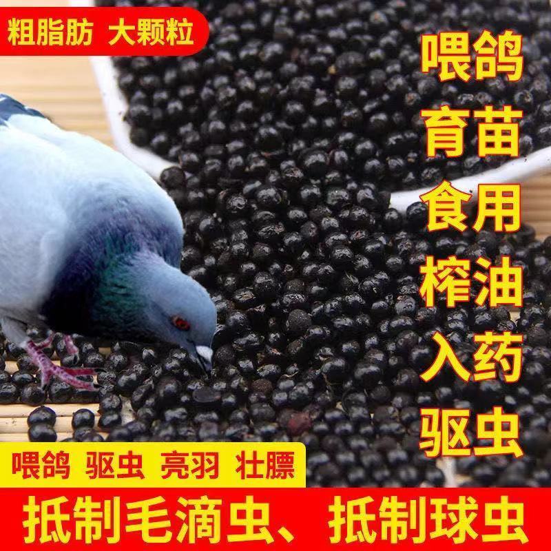 花椒籽鸽用鸽粮保健食品驱虫亮羽增膘健体信鸽赛鸽鸟类花椒籽