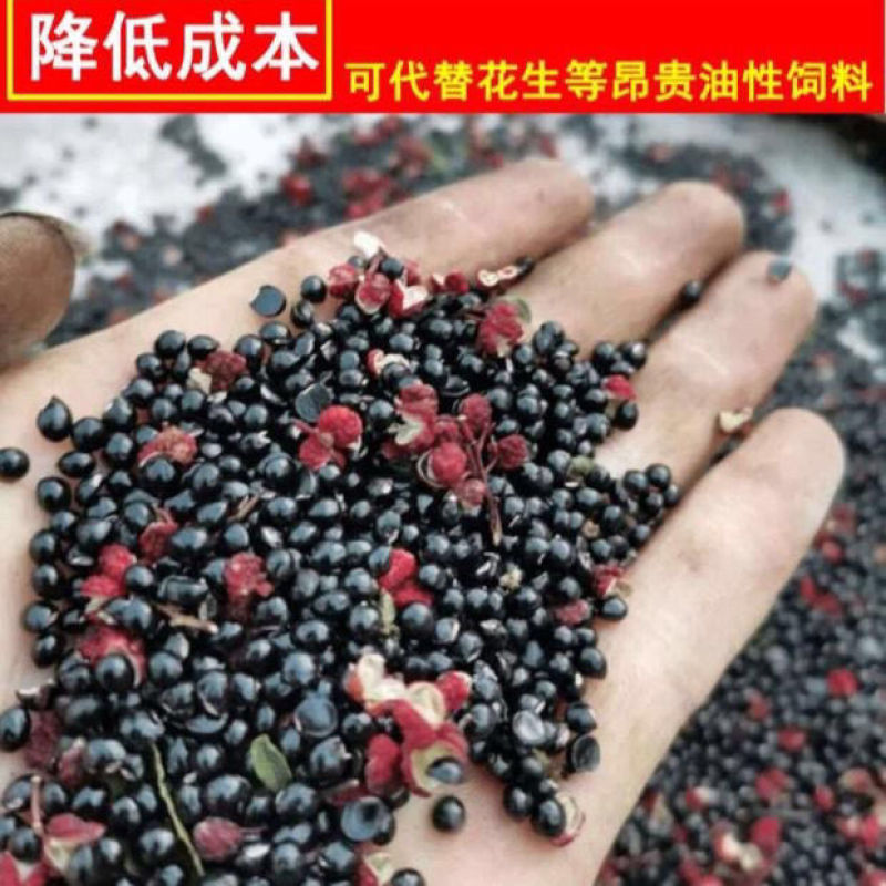 花椒籽鸽用鸽粮保健食品驱虫亮羽增膘健体信鸽赛鸽鸟类花椒籽