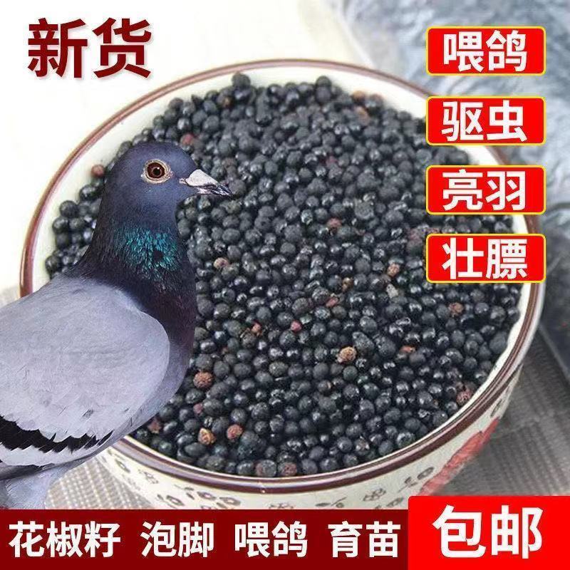 花椒籽鸽用鸽粮保健食品驱虫亮羽增膘健体信鸽赛鸽鸟类花椒籽