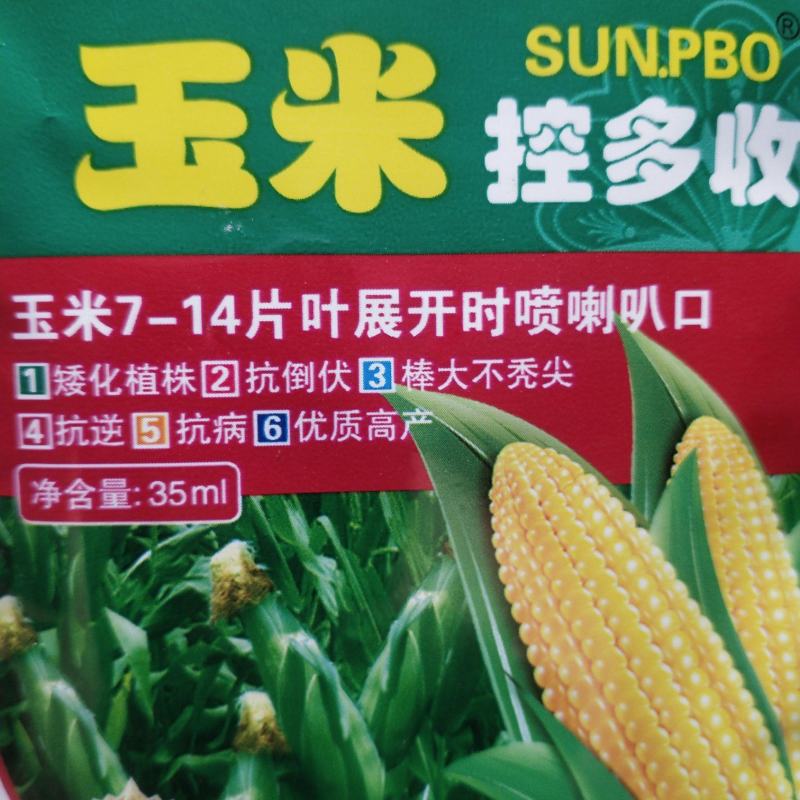 玉米控多收玉米7-14片叶展开时喷喇叭口矮化植株