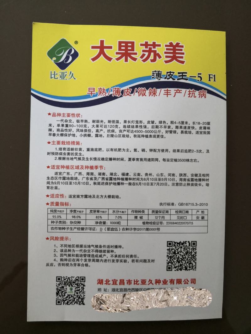 大果苏美薄皮辣椒种子早熟皮皱耐低温抗病亩产10000斤商