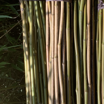 标准豆角、黄瓜、苦瓜杆架，真正物美价廉