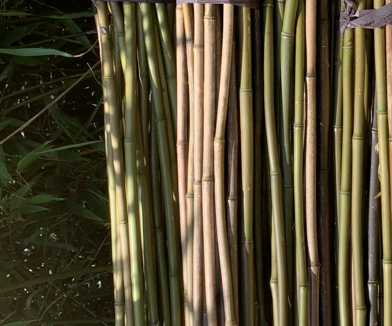 标准豆角、黄瓜、苦瓜杆架，真正物美价廉