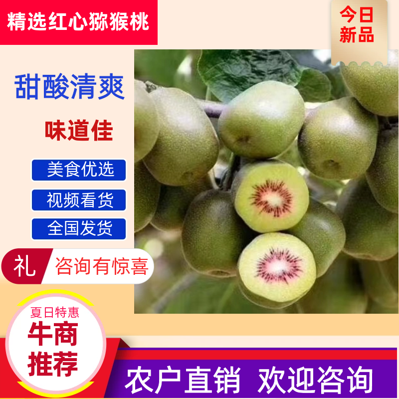 四川红心猕猴桃，新鲜采摘，优中选优商超精品果