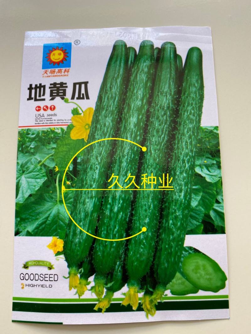 黄瓜种子高产春夏秋季耐热绿瓢密刺黄瓜种籽庭院四季阳台蔬菜