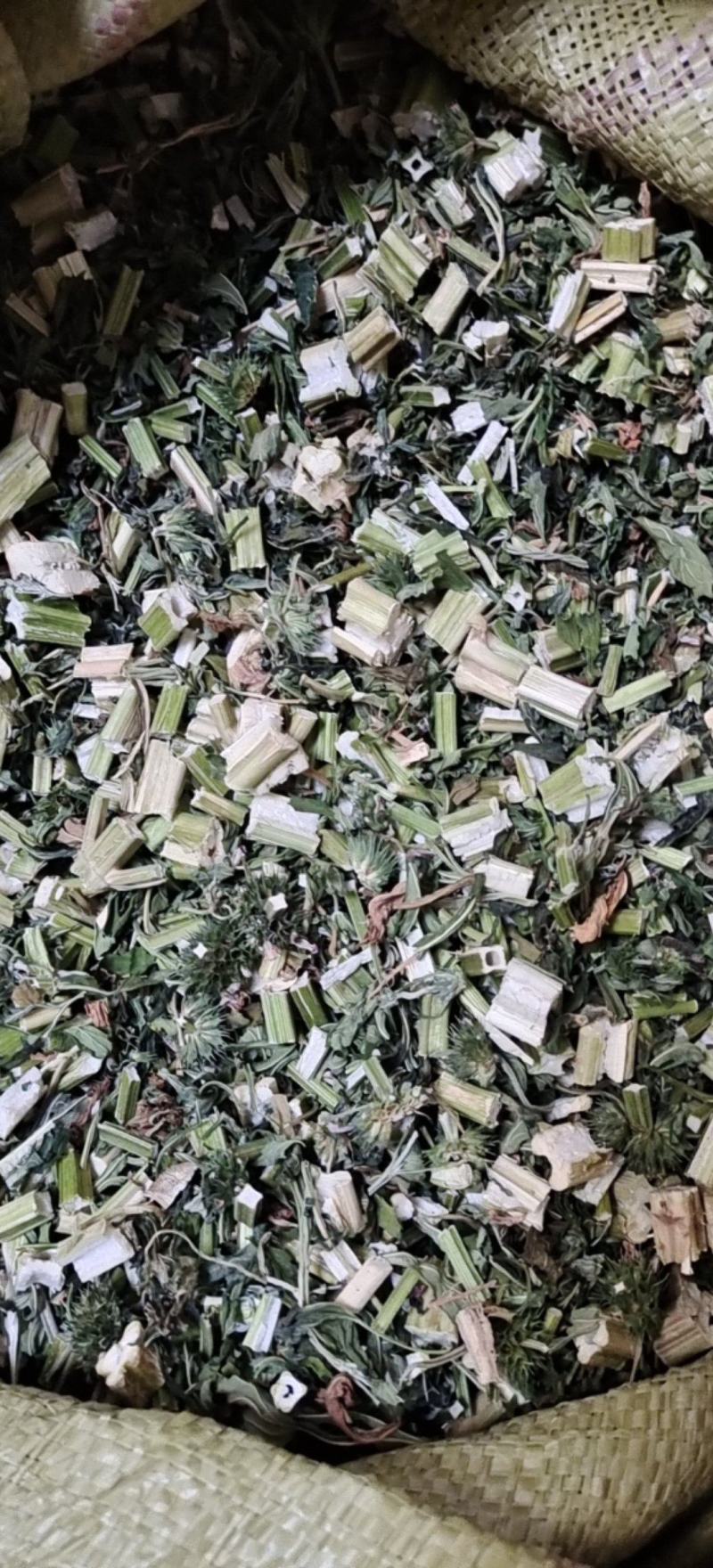益母草益母草今年新货过筛无沫产地山东省颜色好