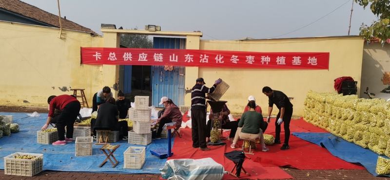 沾化冬枣2代短枝产地批发代购代办一件代发5斤