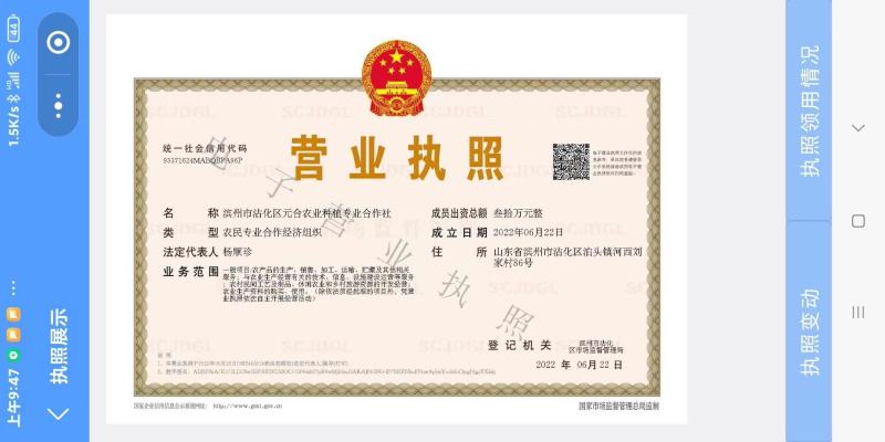 沾化冬枣2代短枝产地批发代购代办一件代发5斤