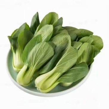 油菜油麦菜快菜