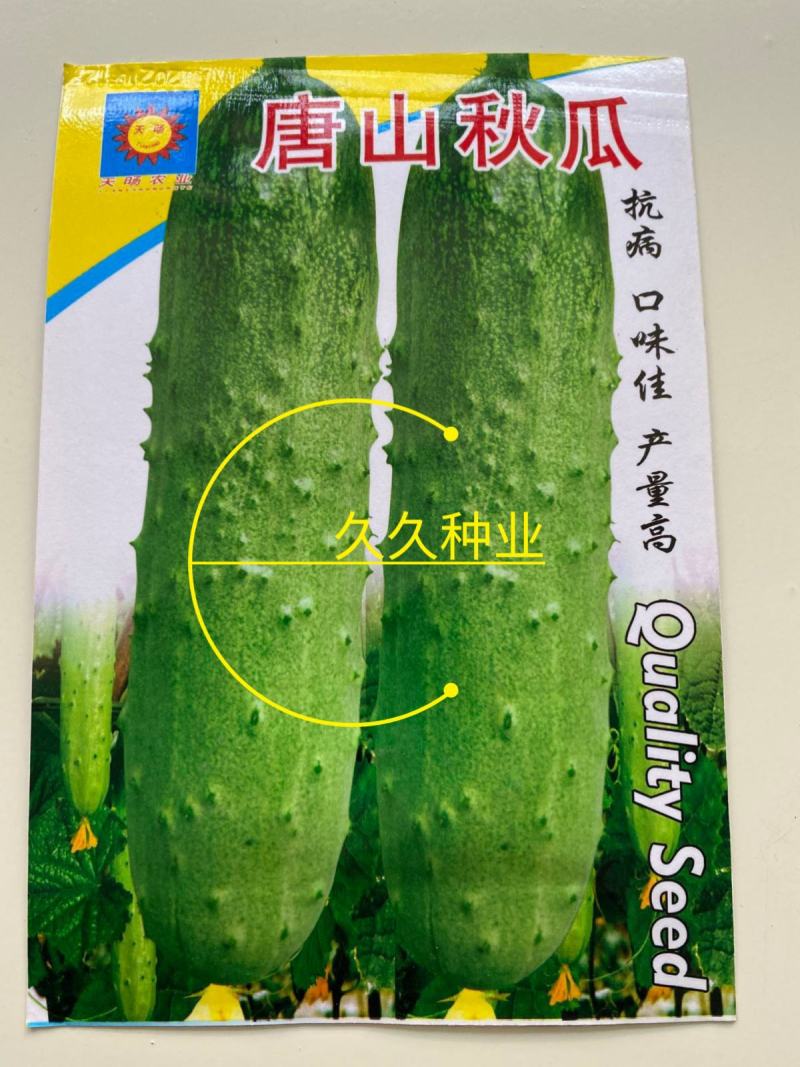 唐山秋瓜黄瓜种子高产春季东北旱黄瓜种孑四季播农家阳台蔬菜