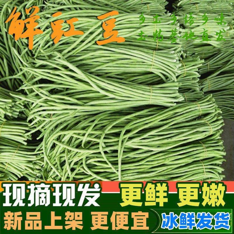 豇豆，緑豆角，长豆角，酱菜豆角，加工厂特别供应