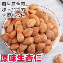 大中粒南杏仁甜杏仁一件包邮绿色食品厂家直发