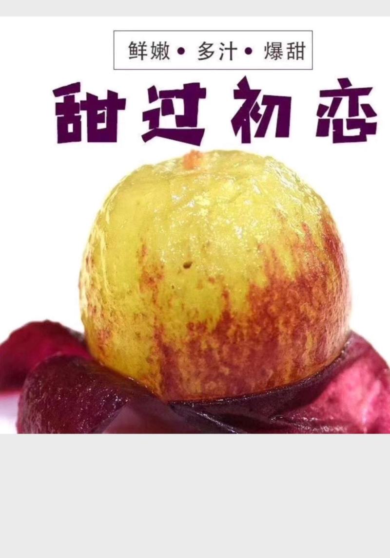 浦江巨峰葡萄大量上市，爆甜。欢迎上门采购。
