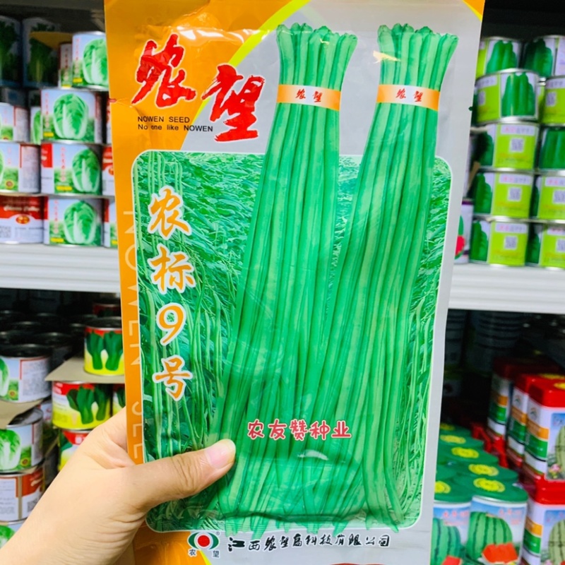 农标9号翠绿色长豆角种子少鼠尾，不易鼓籽江西豇豆种子