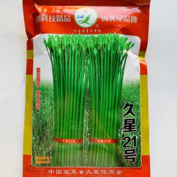 久星21号苔韭种子叶苔兼用型韭菜种籽抗寒可连续抽苔韭薹