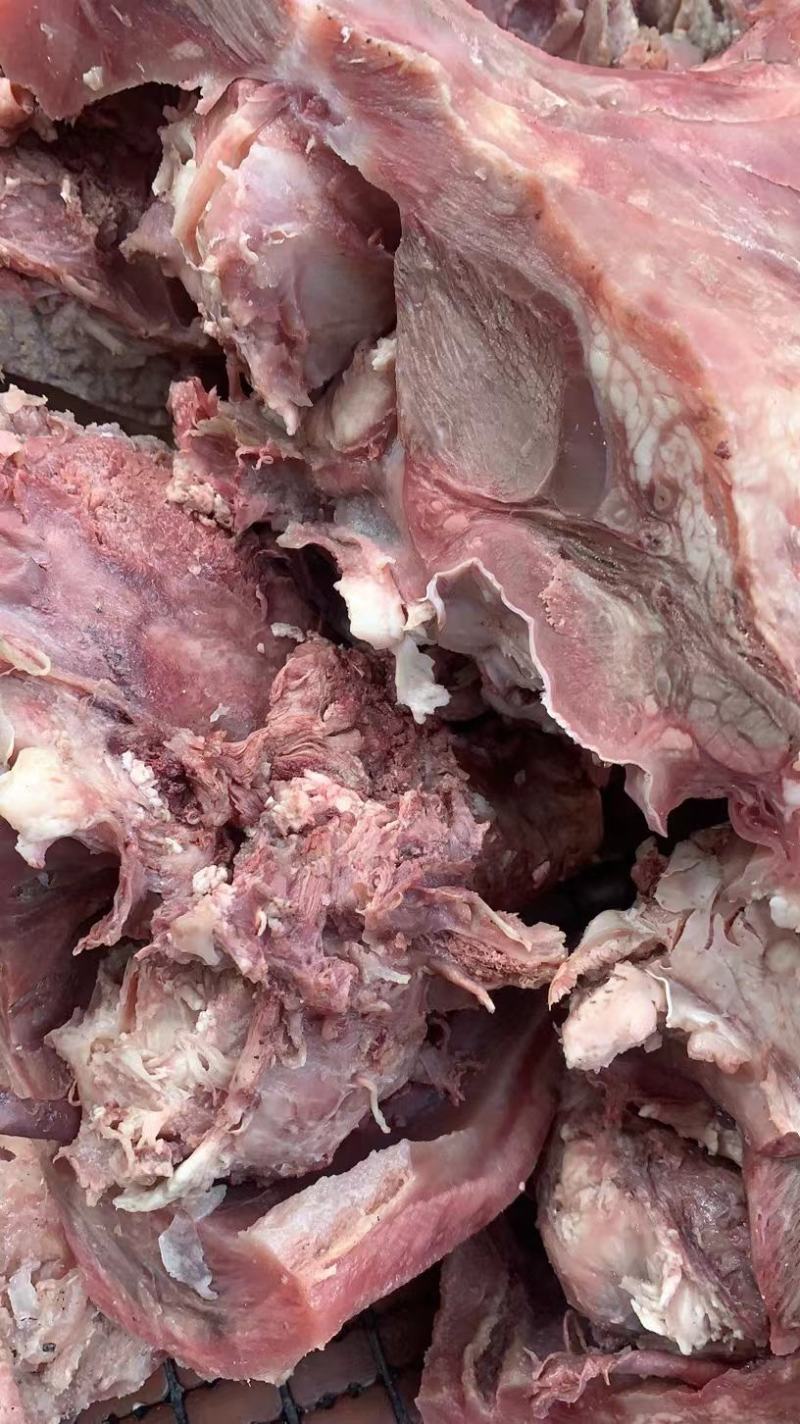 清真牛头肉，去油去淋巴，河南产地一手货源质量保证