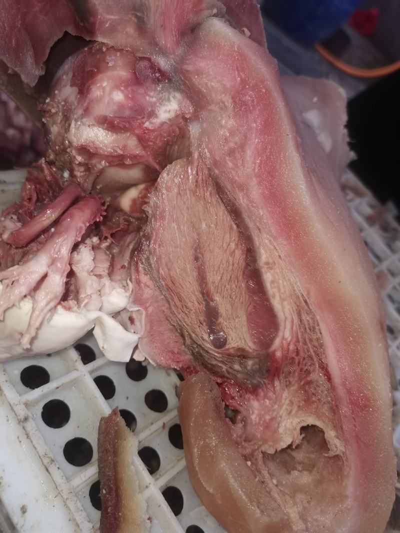 清真牛头肉，去油去淋巴，河南产地一手货源质量保证
