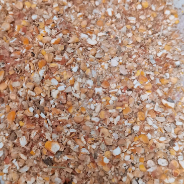 碎料玉米小麦常年出售各种碎料