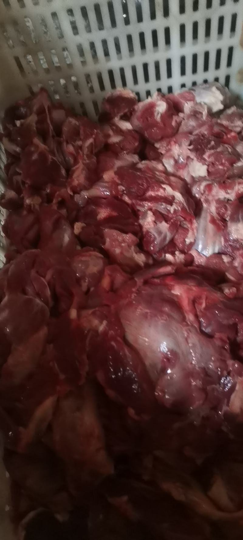 (清真)生牛肉牛肉牛腩肉牛腿肉大量供应欢迎联系