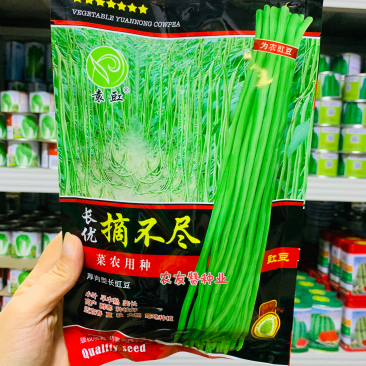 菜农专用厚肉型长豇豆种子小叶荚长春夏秋嫩绿色豆角种子