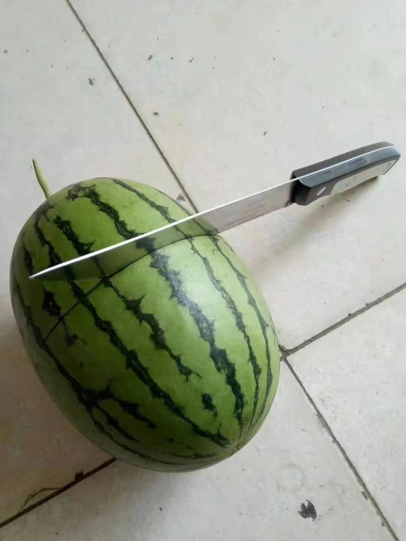 吊秧小西瓜小糖丸西瓜🍉精品西瓜几十万斤品质保障先到先得