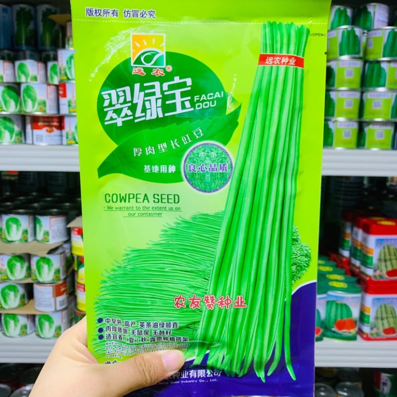 翠绿宝豆角种子荚条油亮翠绿色豇豆种子南菜北运理想品种