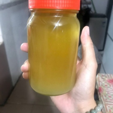 野生的蜂蜜