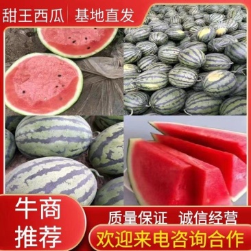 【实力】山东甜王西瓜京欣产地供应包熟包甜全国发货