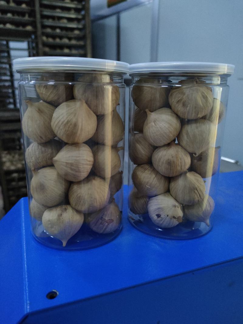 黑蒜独头黑蒜大粒新货金乡基地厂家直发价格优惠