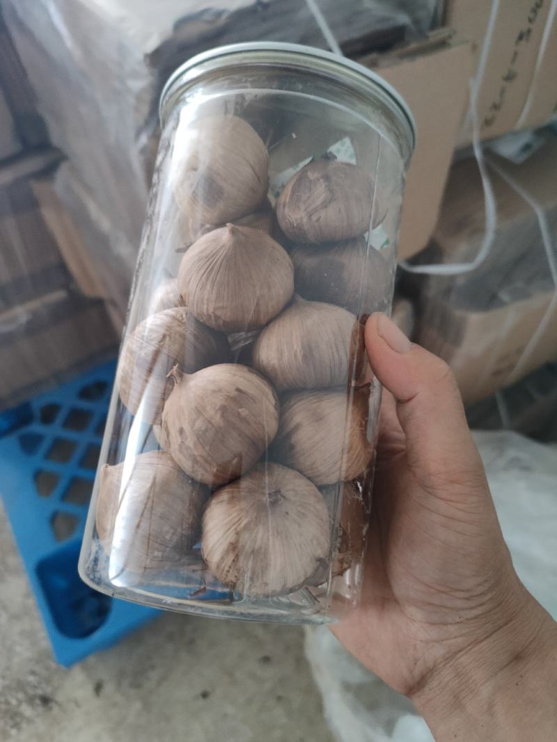 黑蒜独头黑蒜大粒新货金乡基地厂家直发价格优惠