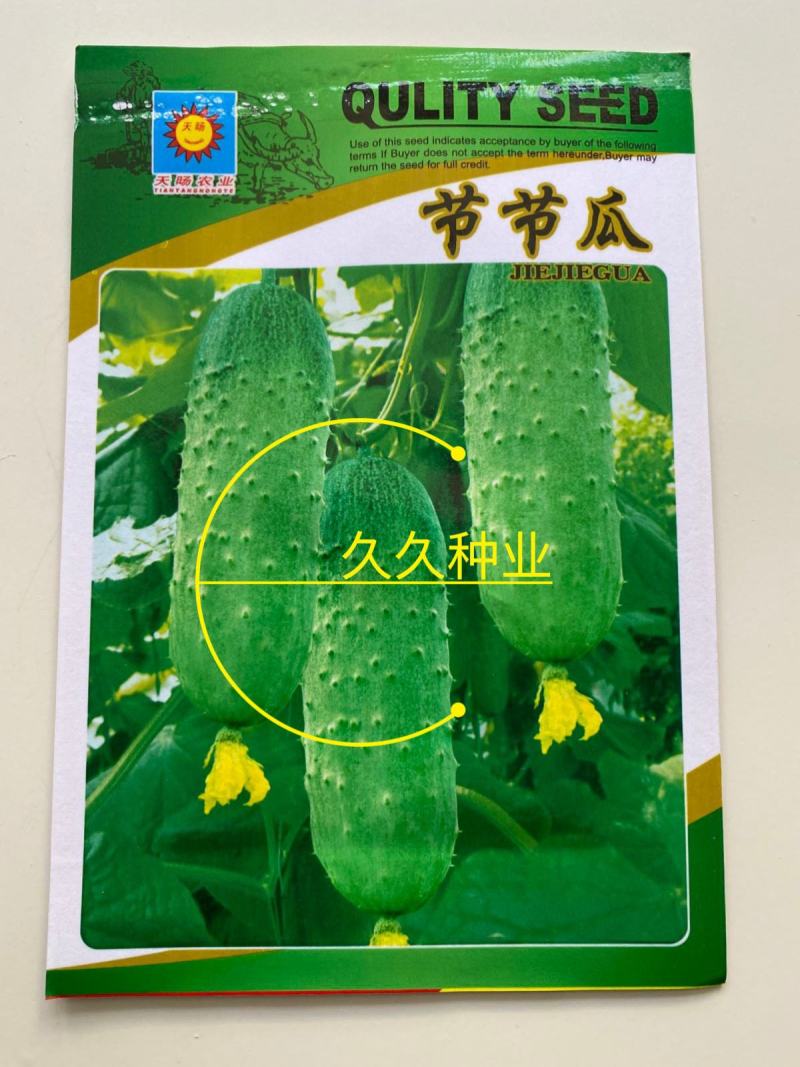 水果黄瓜种子节节瓜家庭种植挂满架黄瓜籽种正品春天播种蔬菜