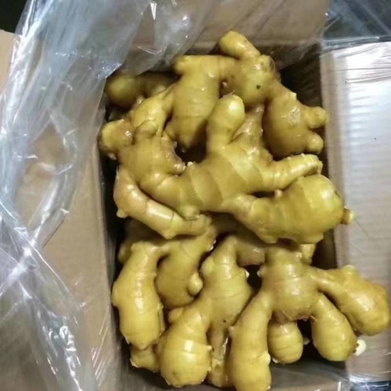 荐【窖藏大小黄姜】：电商市场出口！代收代存农户一手货源