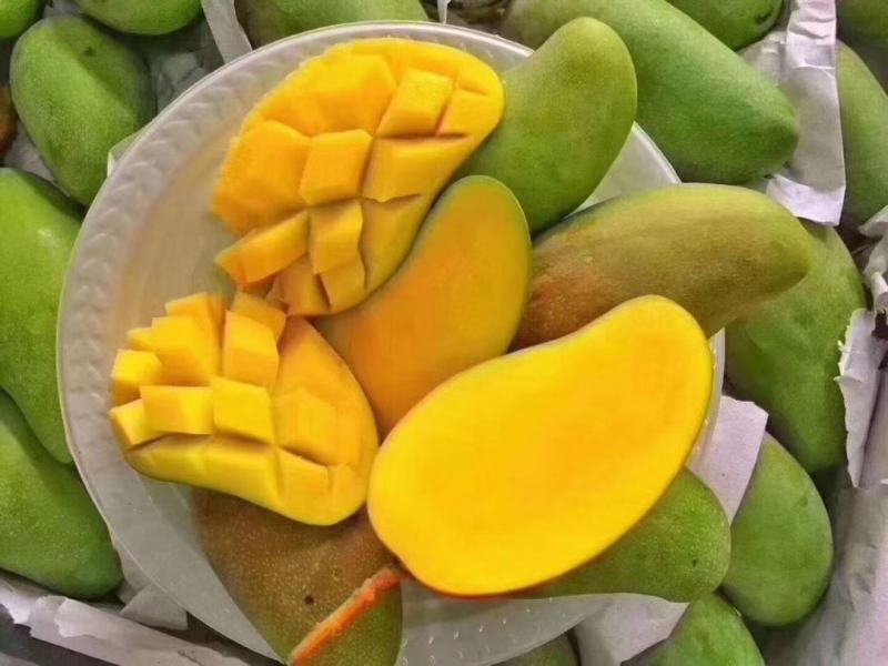 爆甜青皮芒百色芒果产地果园批发代发代办一箱包邮