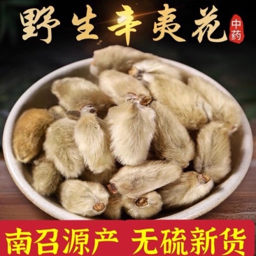 包邮正品辛夷花中药材南召辛夷花茶香料玉兰花泡水喝
