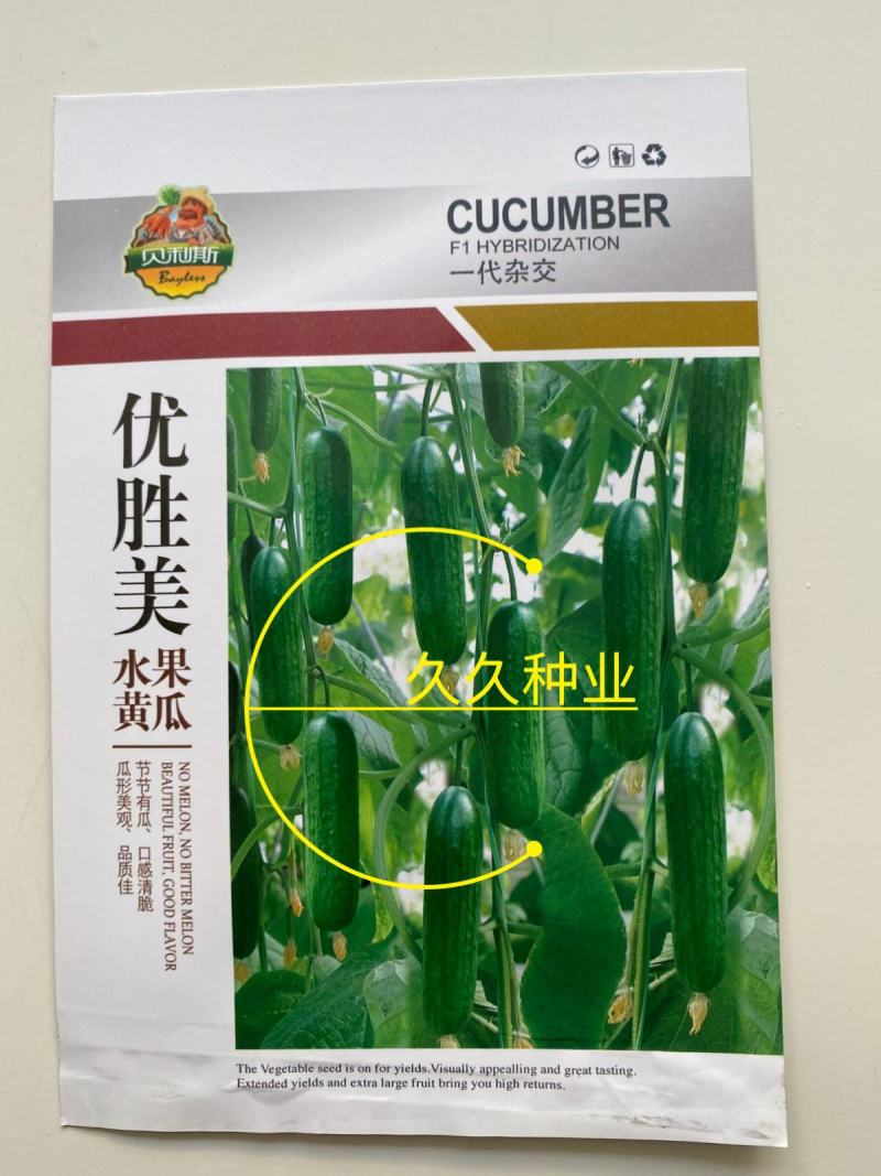 水果黄瓜种子高产四季播包邮节节瓜小黄瓜种籽盆栽农家蔬菜种