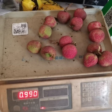 白菜价黑叶荔枝