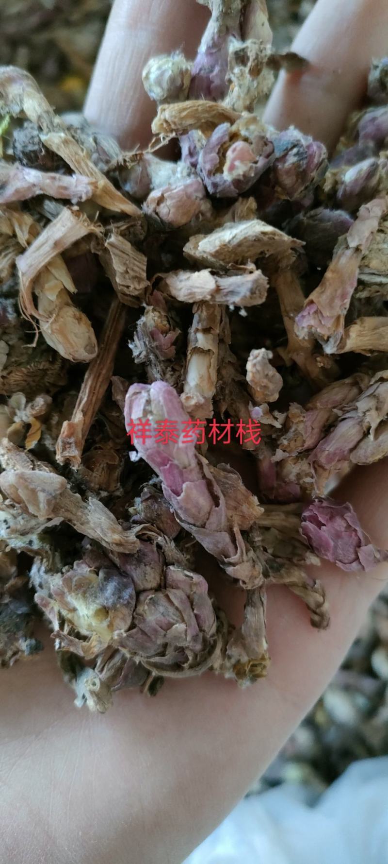 （热销）款冬花冬花货源充足实物拍摄地道药材祥泰药材栈