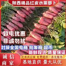 陕西萝卜精品红皮萝卜大量上市产地直供价格实惠全国发货