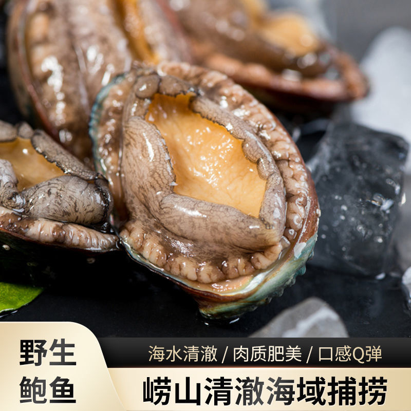 鲜活冷冻无冰鲍鱼新鲜海捕佛跳墙捞汁小海鲜连云港海头批发